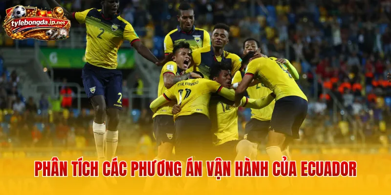 Phân tích các phương án vận hành của Ecuador